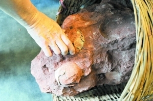 佛山现7000万年前恐龙蛋 专家研究怎么挖